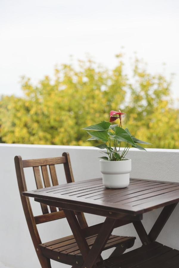 Boavista Sunlit Duplex With Terrace Apartament
